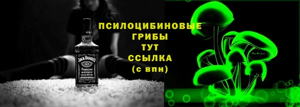 тгк Осинники