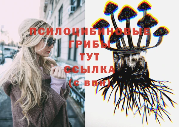 MDMA Premium VHQ Нязепетровск