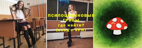 ALPHA PVP Нягань